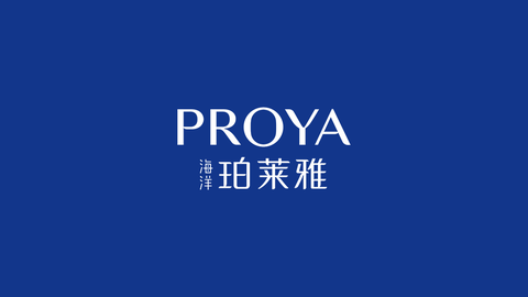 PP王者电子品牌Logo全新升级